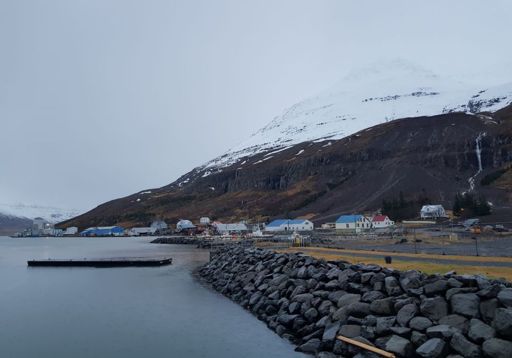 Niðurstöður mengunarmælinga á Seyðisfirði ljósar eftir helgi